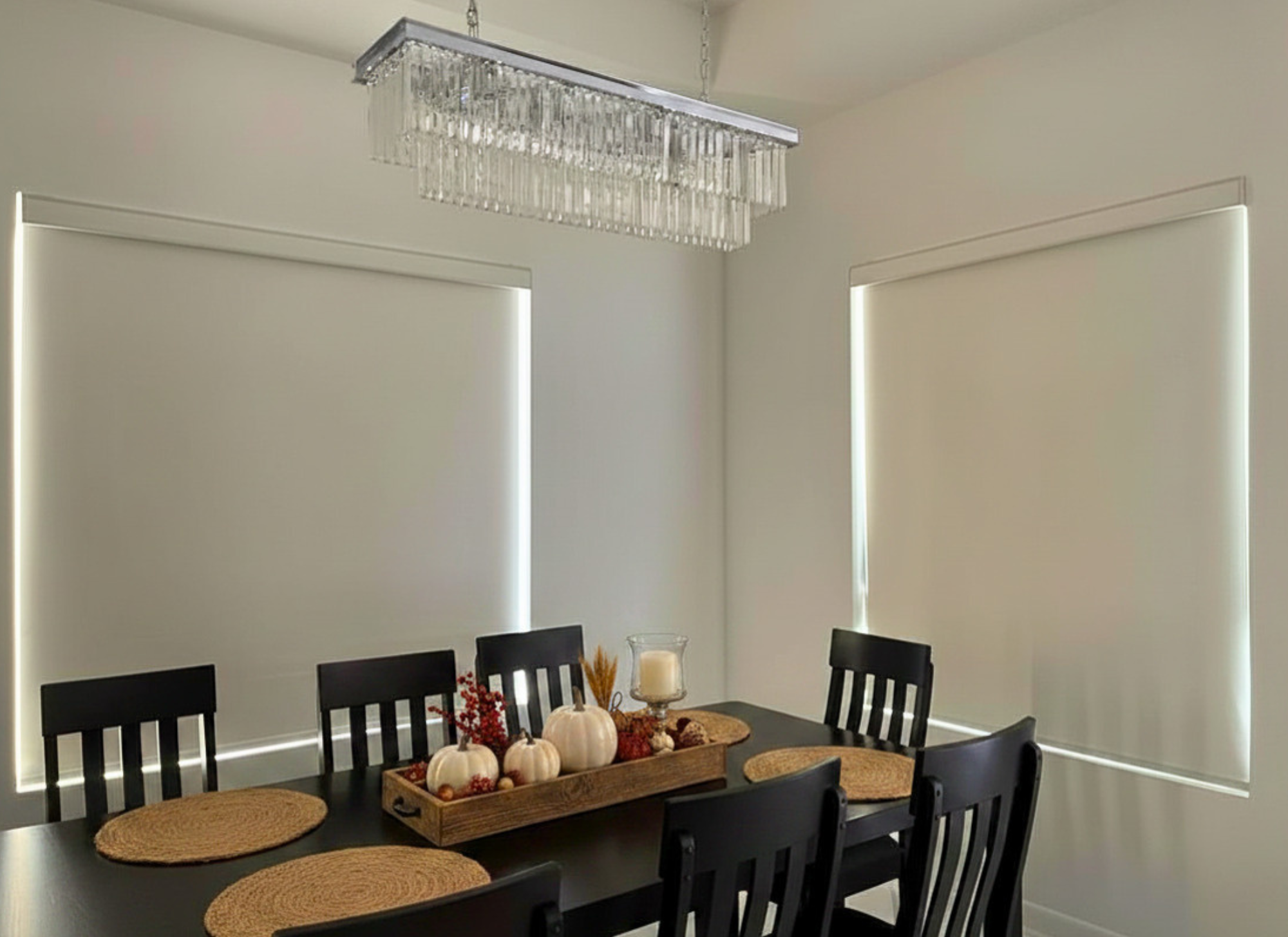 Roller Shades